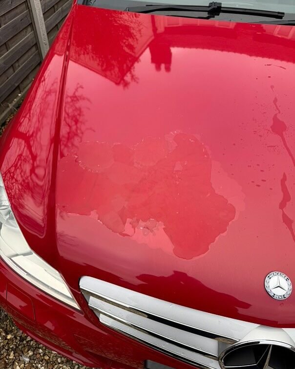 Instagram post from ahbodyworx. This post is in position 19.